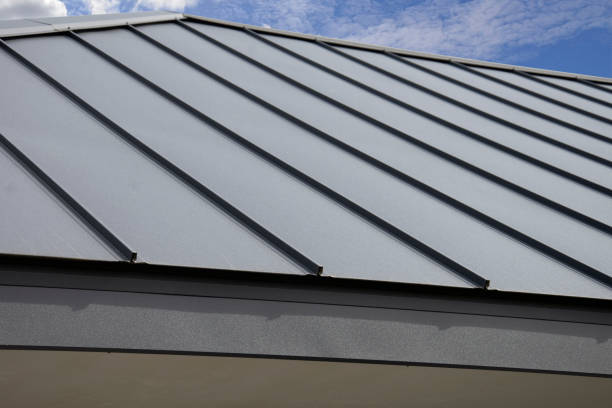 Best Skylight Installation and Repair  in Dilkon, AZ